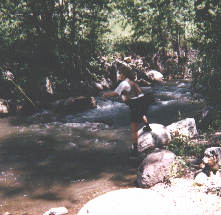 Casting on Bridger Creek